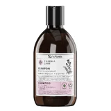 Vis Plantis Pharma Care, shampoo tegen haaruitval, klis + biotine, 500 ml