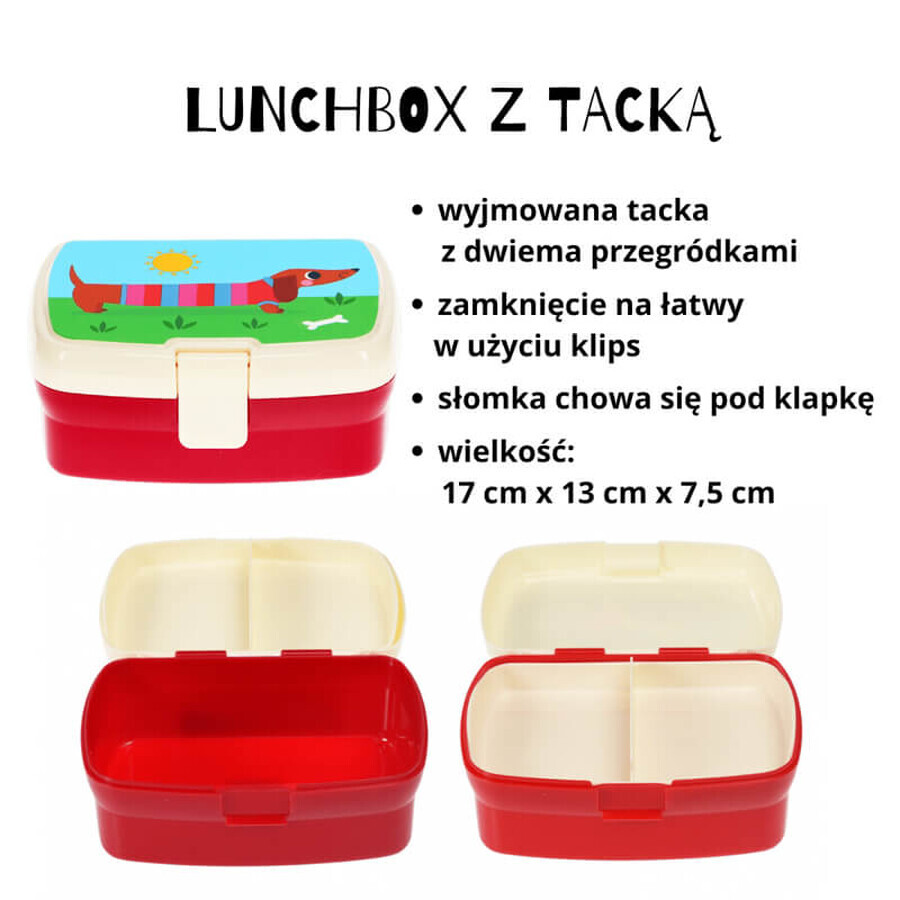 Rex London set, caja de desayuno + lata, teckeli