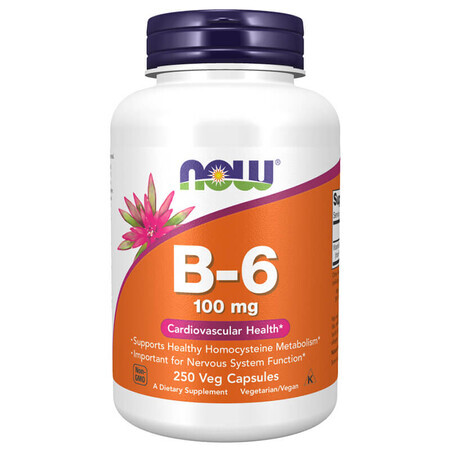 Now Foods B-6, vitamine B6 100 mg, 250 gélules