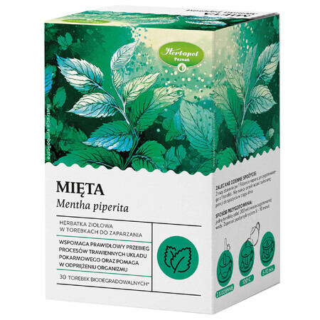 Herbapol Menthe, tisane, 30 sachets biodégradables