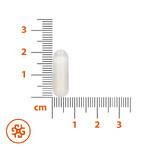 SEMA Lab Potassium, 60 gélules