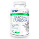 SFD Garcinia Cambogia, tamarin de Malabar, 90 comprim&#233;s