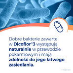 Dicoflor 3 ,50 gélules