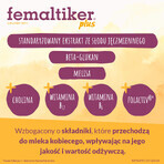 Femaltiker Plus pack, goût chocolat, 2 x 12 sachets