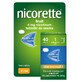 Nicorette Fruit 4 mg, 40 comprim&#233;s