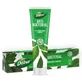 Dabur dentifrice antibactérien au neem biologique, 100 ml