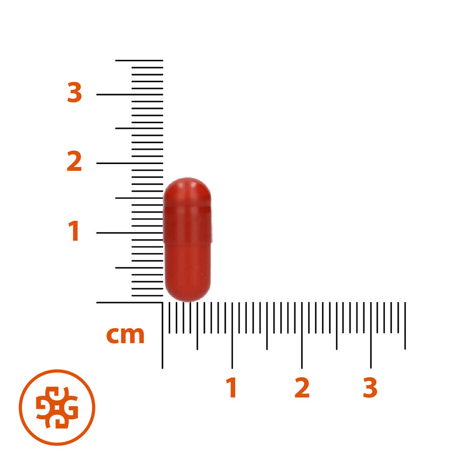 SEMA Lab IJzer + Vitamine C, 60 harde capsules