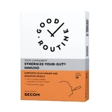 Synergise Your Gut Immuno, 10 Portionsbeutel, Good Routine