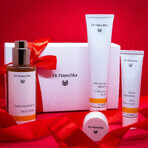 Dr Hauschka Beautiful Face Set, tonique revigorant 100 ml + crème de jour à la rose 30 ml + nettoyant visage 75 ml + baume à lèvres en pot 4,5 ml