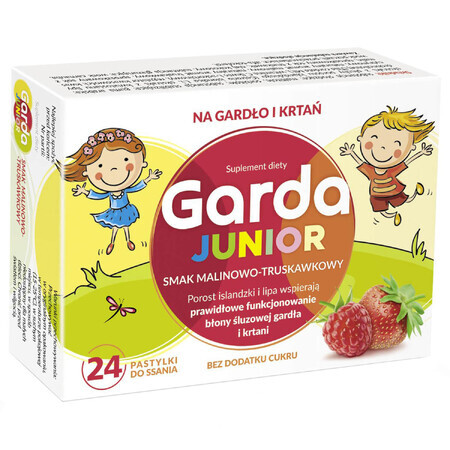 Garda Junior, goût framboise et fraise, 24 comprimés