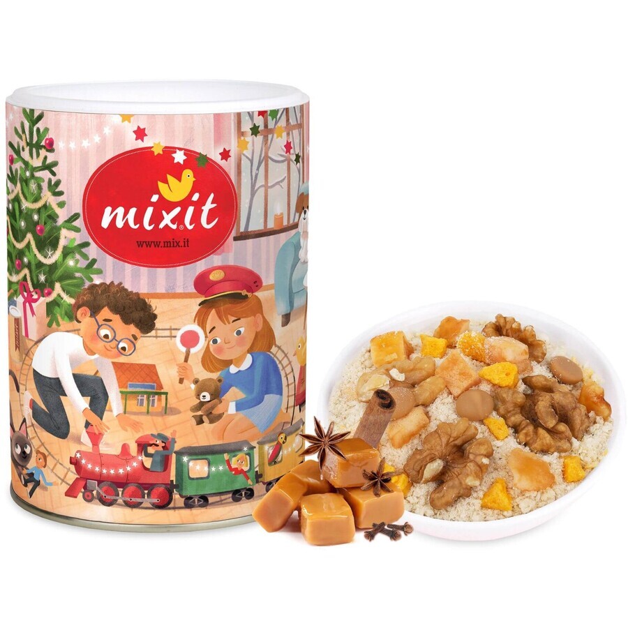 Porridge de Noël 270 g