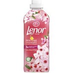 Lenor Après-shampoing à la sauge et aux fleurs de cerisier 925 ml