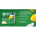 Gerber Organic 100% végétal dessert à la mangue et au kiwi au lait de coco 4 x 90 g