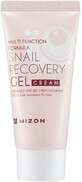 Mizon Snail Recovery Gel Cream 45 ml