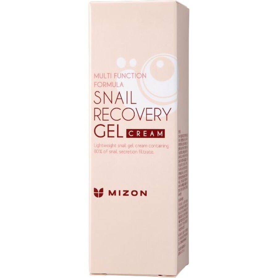 Mizon Snail Recovery Gel Cream 45 ml