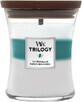 WoodWick Trilogy bougie moyenne parfum&#233;e, Icy woodland 275 g