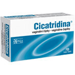 Cicatridine suppositoires vaginaux, 10 x 2 g