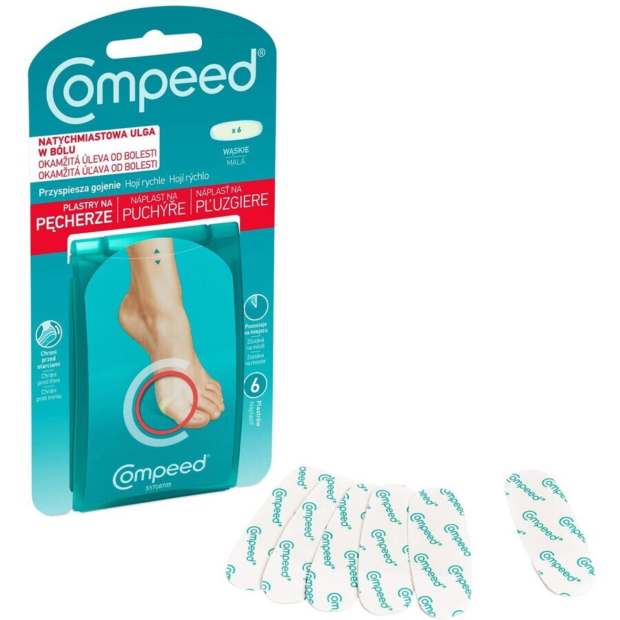 Compeed Plasture petit blister 6 pcs