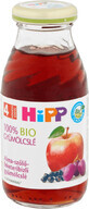 HiPP Jus de pomme, de raisin et de cassis 200 ml