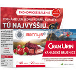 Barny's CRAN-URIN CANADIAN BRUSH 60 gélules