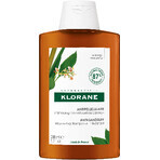 Klorane shampooing antipelliculaire au galanga 200 ml