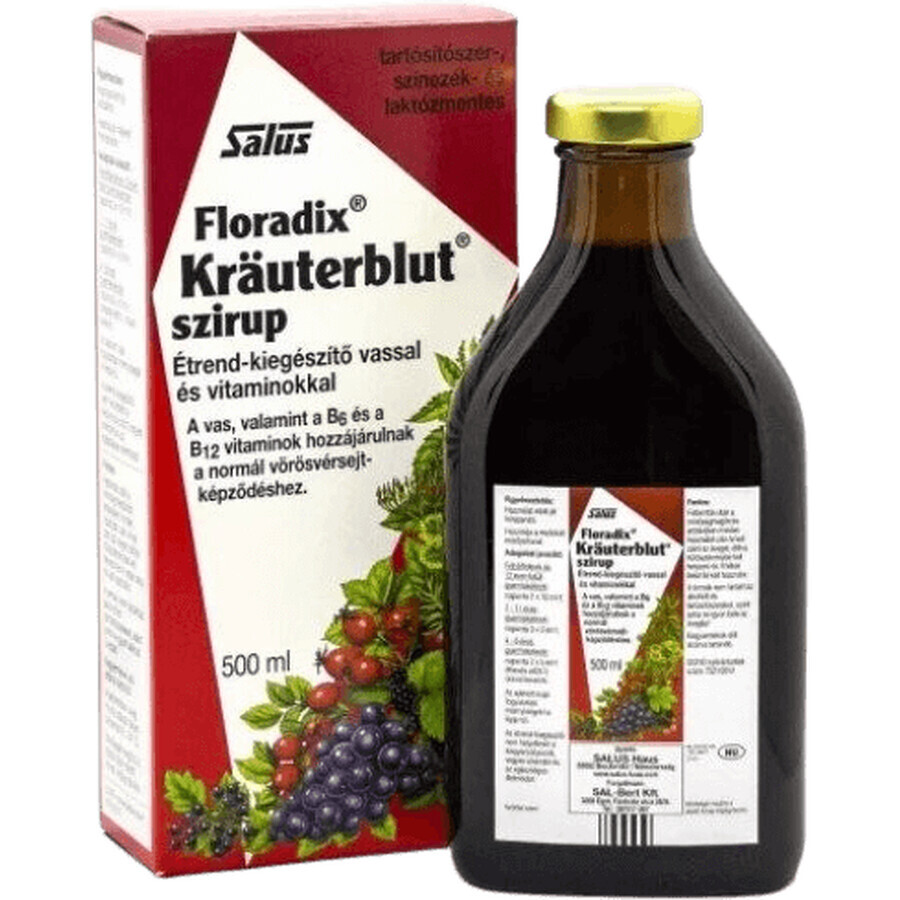 Salus Floradix Kräuterblut sirop avec fer et vitamines 500 ml