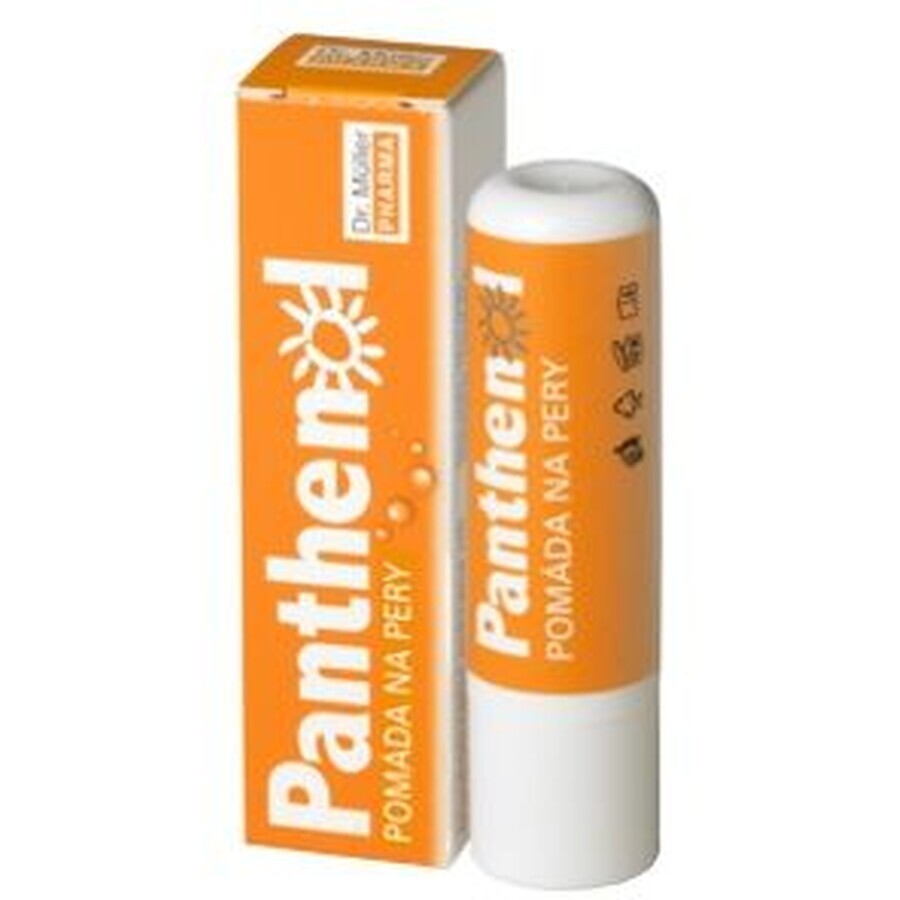 Dr Muller Dr Muller PANTHENOL LIP HELP 4, 4 g