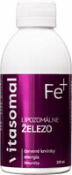 Fer liposomal vitasomal (sans conservateur) 200 ml