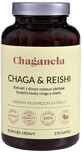 Chaganela Extrait de Chaga avec Reishi 270 g&#233;lules