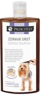 Proactivet Healthy Coat Derma Shampoo 250 ml