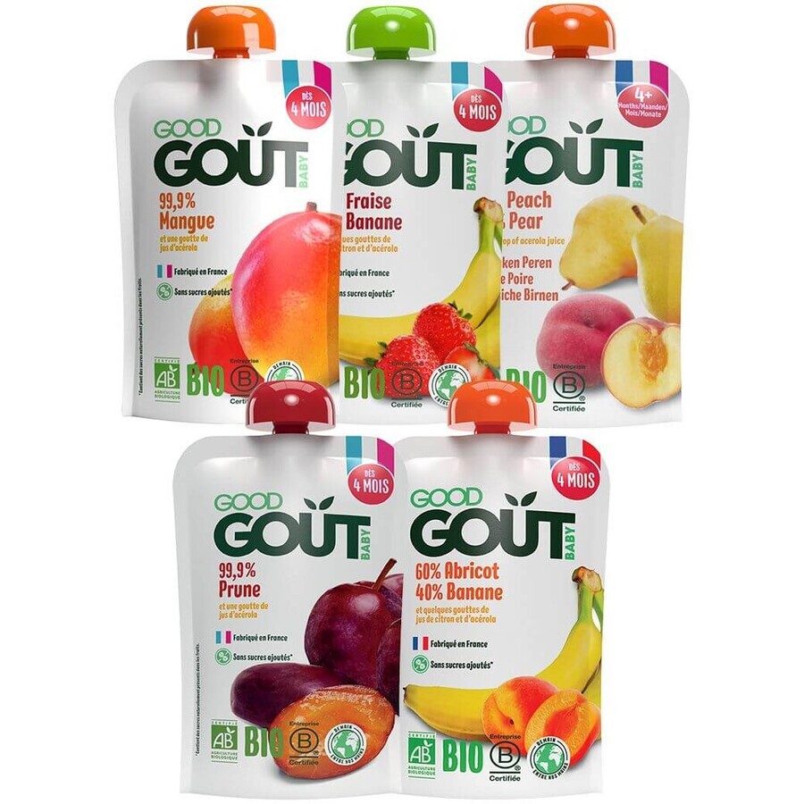 Good Goût Organic My First Fruit Capsule 5 x 120 g