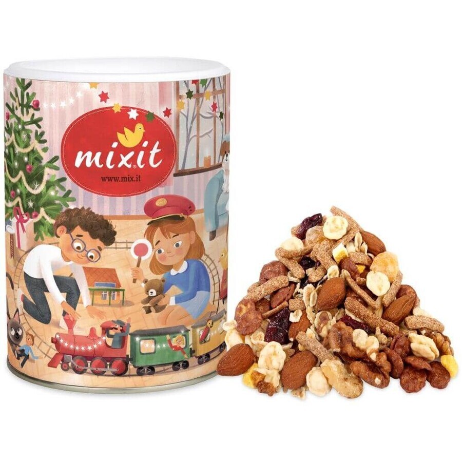 Mélange de Noël Mixit 270 g