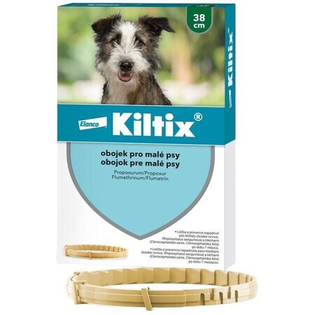 Kiltix Halsband für kleine Hunde Umfang 38 cm