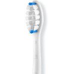 Brosse à dents vibrante Silk'n Sonic SonicYou rose gold