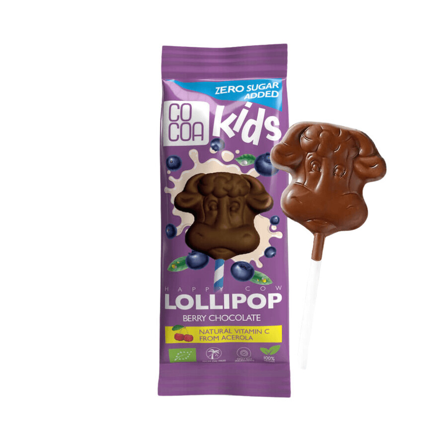 Chocolate lollipop with eco fruit, 15 g, Cocoa