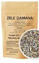 Plante de Damiana 50g ZIELARZPOLSKI