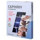 Capinerv, tencuieli, 5 bucăți