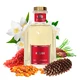 Cashmere Aroma