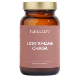 Natu.Care Lion's Mane&Chaga, coneflower en subcorticale spinneret, poeder, 45 g