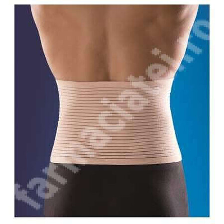 Ceinture abdominale, Taille S, 30 cm, Anatomic Help