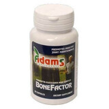 BoneFactor, 60 gélules, Adams Vision