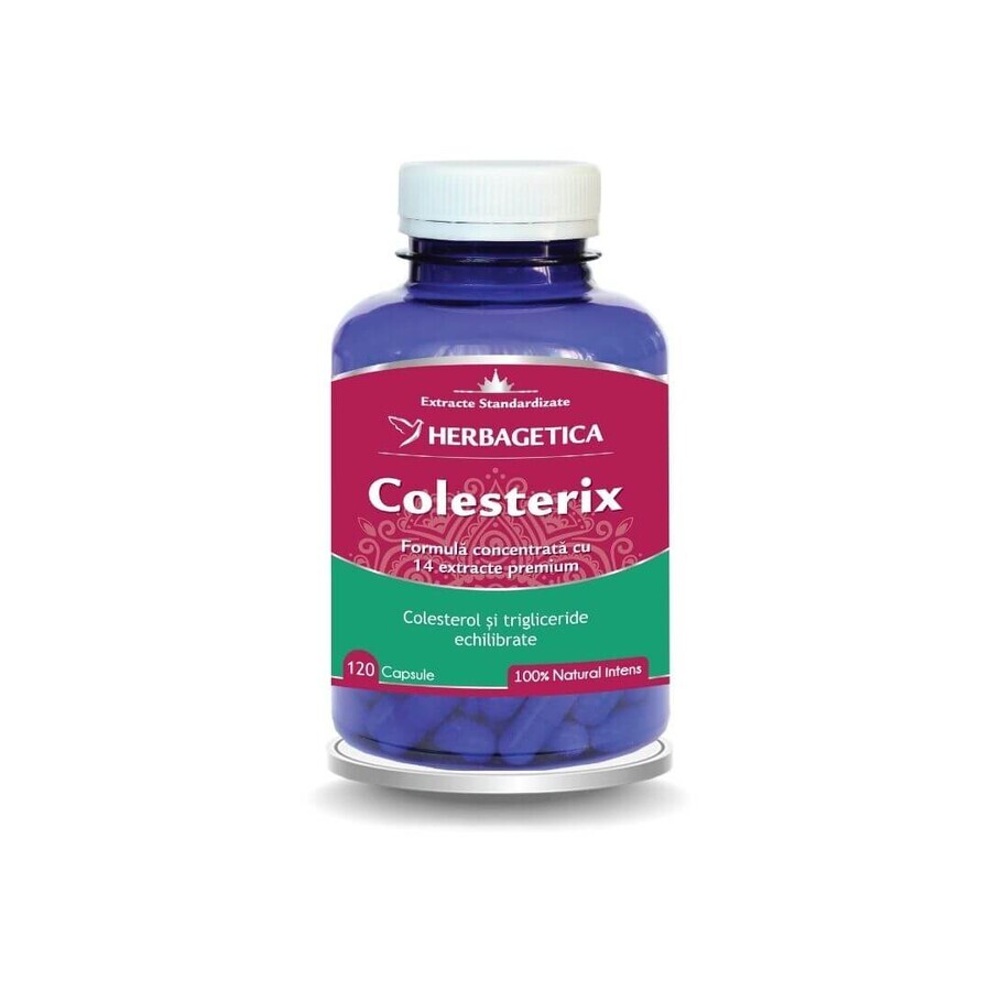 Cholesterix 120 gélules, Herbagetica