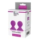 Dream Toys Pleasure Pumps Nipple Suckers Pink, 2 pièces