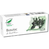 Basil, 30 pods, Pro Natura