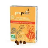 Propolisgom Agavesiroop Gember en Citroen Bio 45g