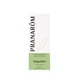 Pranarôm Les Huiles Essentielles Huile Essentielle De Gingembre 5ml