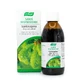 A.Vogel Franța Santasapine sirop 200 ml