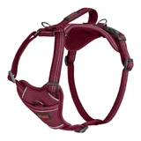 Hondentuigje Company of Animals Bordeaux XL 50-78 cm
