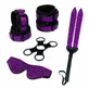Kit de plăcere Whipsmart