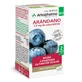 Arkocapsulas Bilberry Fruit 40 Caps